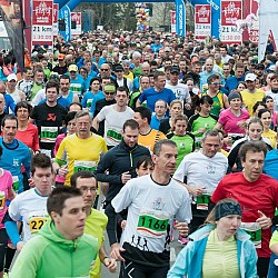16. Mali kraški maraton 2016