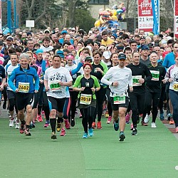 16. Mali kraški maraton 2016