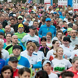 16. Mali kraški maraton 2016