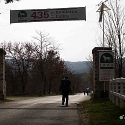 16. Mali kraški maraton 2016