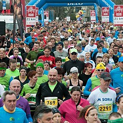 16. Mali kraški maraton 2016