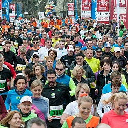 16. Mali kraški maraton 2016