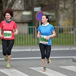 16. Mali kraški maraton 2016