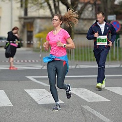 16. Mali kraški maraton 2016