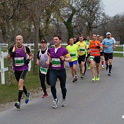 16. Mali kraški maraton 2016