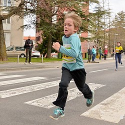 16. Mali kraški maraton 2016