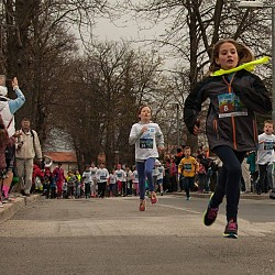 16. Mali kraški maraton 2016