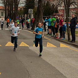 16. Mali kraški maraton 2016