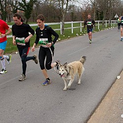 16. Mali kraški maraton 2016