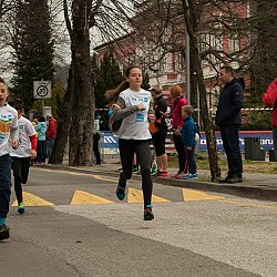 16. Mali kraški maraton 2016