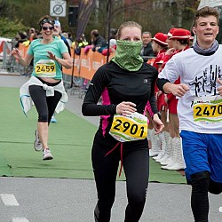 16. Mali kraški maraton 2016