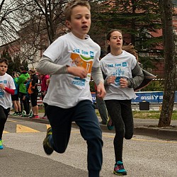 16. Mali kraški maraton 2016