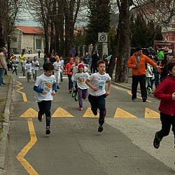 16. Mali kraški maraton 2016