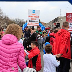 16. Mali kraški maraton 2016