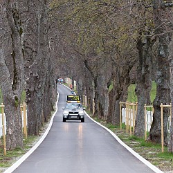 16. Mali kraški maraton 2016