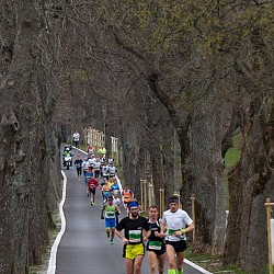 16. Mali kraški maraton 2016
