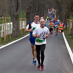 16. Mali kraški maraton 2016