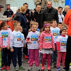 16. Mali kraški maraton 2016