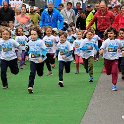 16. Mali kraški maraton 2016