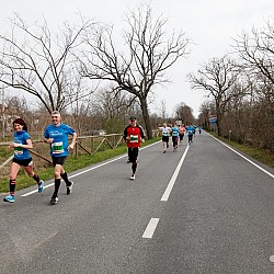 16. Mali kraški maraton 2016