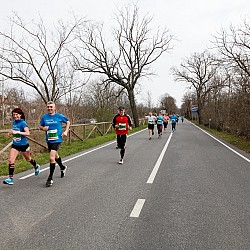 16. Mali kraški maraton 2016