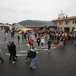 10. Mali kraški maraton, Sežana, 21. marec 2010