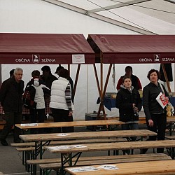 10. Mali kraški maraton, Sežana, 21. marec 2010